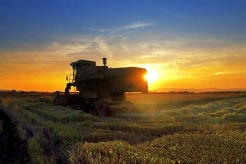 Reforma Tributária e o Setor Agroindustrial: uma reconfiguração estrutural para o futuro do agronegócio brasileiro