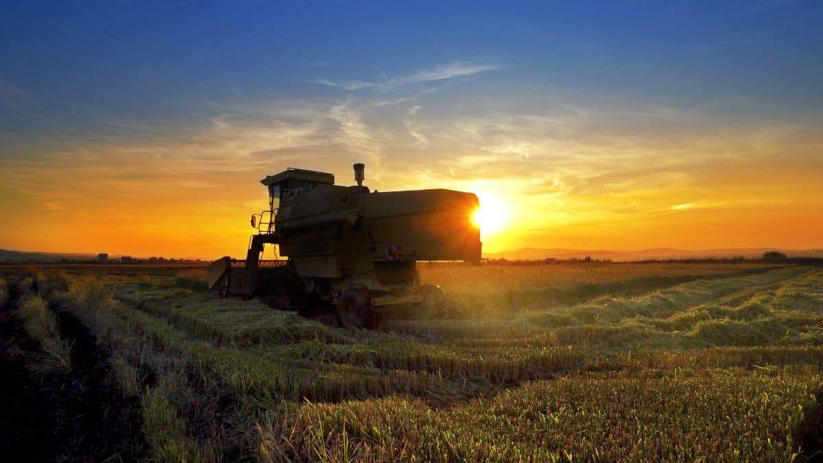 Reforma Tributária e o Setor Agroindustrial: uma reconfiguração estrutural para o futuro do agronegócio brasileiro